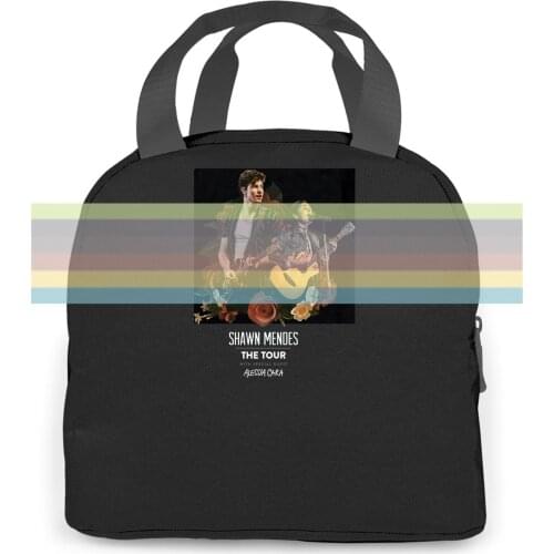 Shawn Mendes The Tour with Alessia Cara - Black Best Selling Male Natural women men Portable insulated lunch bag adult