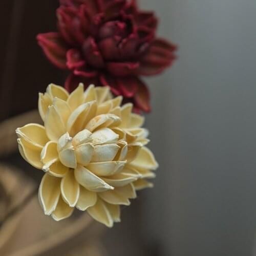 Real Natural Dried Pressed Lotus Flower Decorative Handmade Water Lily Flower Branch Decoration For Home Livin Room Holiday Gift
