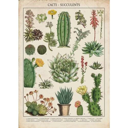 Cacti & Succulents Kitchen - Vintage Art Print SILK POSTER Decorative painting Wall painting 24x36inch