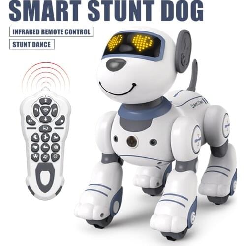 Pimpimsky Radio-controlled Toys