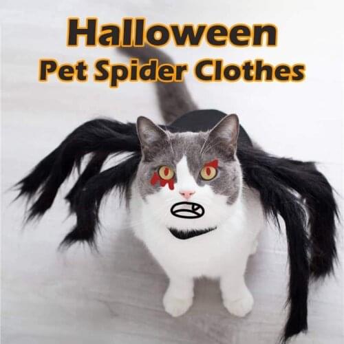 Halloween Pet Spider Clothes Hot Pet Spider Costume Dog Cat Horror Simulation Plush Spider Costume Party Costume