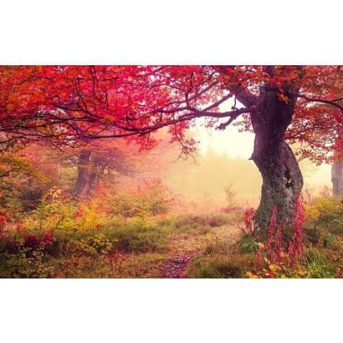 3d room wallpaper landscape forest stereoecopic wallpaper tv backdrop mural wallpaper Home Decoration