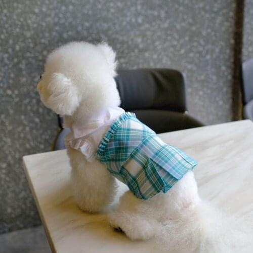 Autumn Winter Dog Dress Cat Puppy Teacup Poodle Chihuahua Yorkshire Clothes Small Dog Clothing Costume Pomeranian Poodle Skirt S