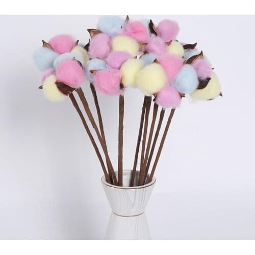 Naturally Cotton Dried Flower Decorative Real Plants Floral Branch DIY Home Decor Wedding Christmas Decoration Noel Flores Secas