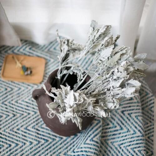 Natural Dried Flower Snow Leaf Chrysanthemum Leaves Bouquet Flower Arrangement in Living Room with DIY Flower Material with