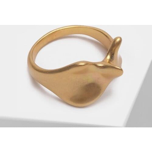 Amorita boutique Geometric design irregular simple style frosted texture ring