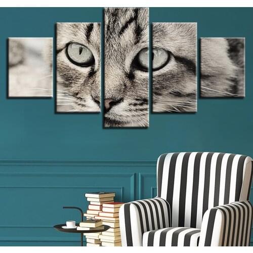 Cats big eyes 5pcs Modern Home Wall Decor CanvasPicture Art HD Print Painting On Canvas for Living Room
