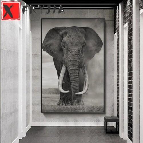 Diamond Painting Black and white animal art, elephant 5d Diamond Embroidery Full Display Diamond Mosaic Cross Stitch Decoration