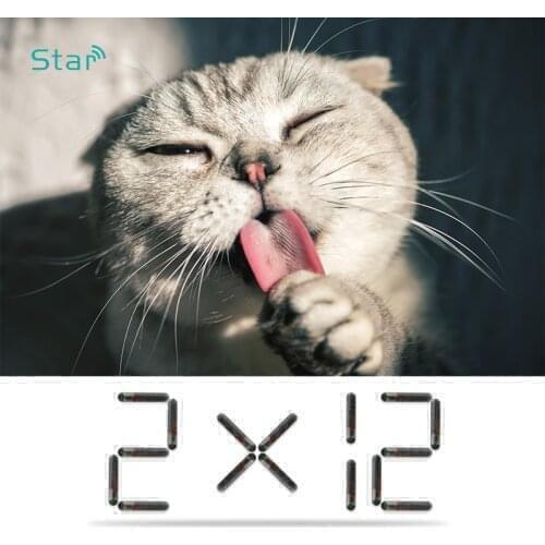 Rfid Pet Microchip 2*12mm Cattle Chip Glass Capsule X30 pcs