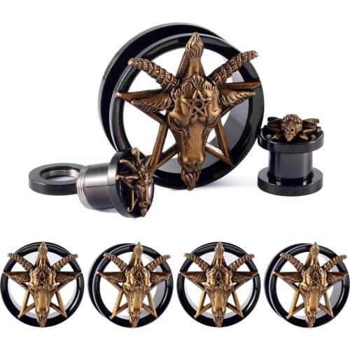 CHUANCI 1 Pair Stainless Steel Deer Ear Plugs Gauges Screw Tunnels Body Piercing Jewelry Ear Expanders Stretchers 6-25mm