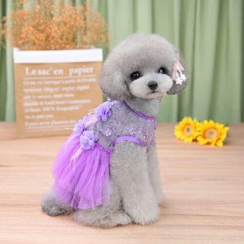 Pet Dog Dress Fashion Lace Bottoming Rose Flower Print Princess Dress Clothes Cute Cat Lace Breathable Dress Pet Supplies Robe
