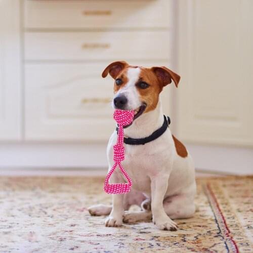 5PCS Dog Toy Rope Ball Red Cotton Braided Labrador Training Molar Teeth Bite-Resistant Teeth Cleaning Dog Pet Supplies Gift