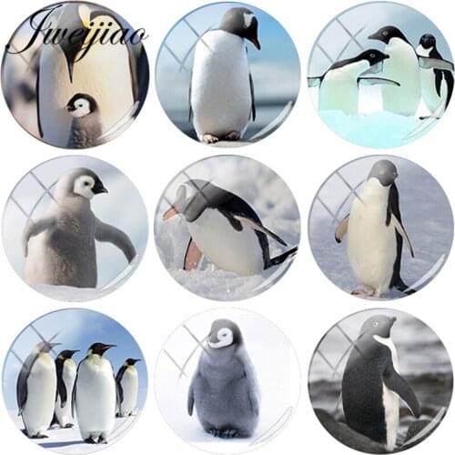 JWEIJIAO Hot sale Antarctic Penguin Glass Cabochon Dome charm DIY Jewelry Findings For Bracelets Brooch Pins Necklaces
