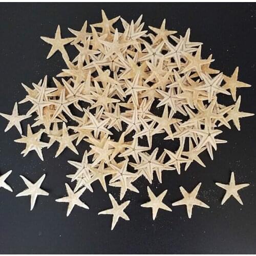 50pcs 2-3cm Natural Starfish Seashell Beach Craft Natural Sea Stars DIY Beach Wedding Decoration Crafts Home Decor