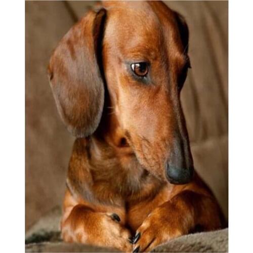 Dachshund Dog Pattern Diamond Painting Rhinestone Embroidery Mosaic Cute Puppy Cross Stitch Art FH494