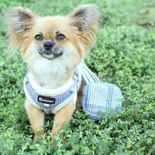 Adjustable Dog Vest Chest Puppy Leash Walking Lead Cat Collar Harness For Small Medium Chihuahua Pet Accessories Supplies Perro