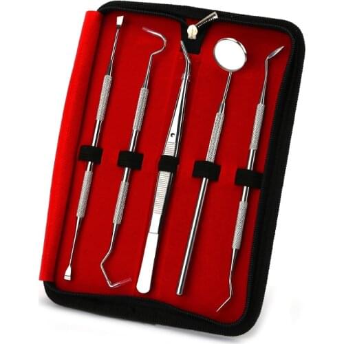 5pcs Stainless Steel Dental Scaler Tool Set Tooth Scraper Mirror Tartar Calculus Plaque Remover Home Dental Calculus Care Kit