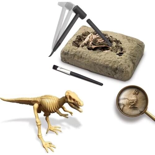 Archaeological Dig Toy Paleontologist Dig Kit Skeleton Model Toy Geographic Dinosaur Prototype Dig Kit for Children Kids