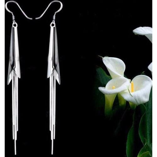 Fashion tassel earrings long section chain of high-end European and American style retro horseshoe earrings wholesale women
