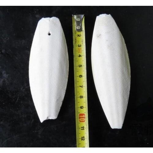 5pcs per lot New Arrival Zoomed cuttlefish bone tortoise applauds tortoises turtle parrots calcium food health care products