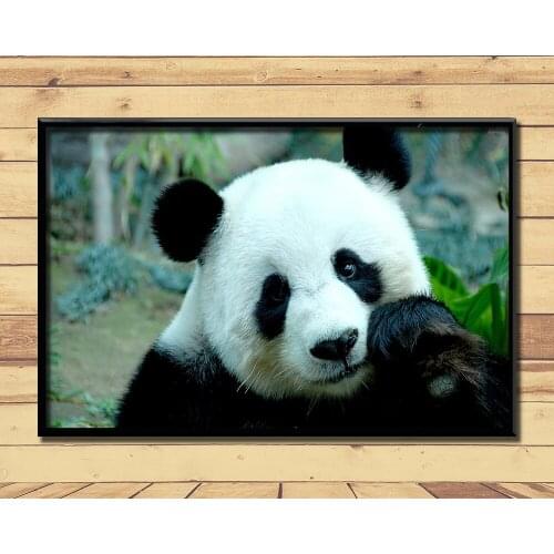 Giant Pandas Lovely And Valuable Animal (17) Wall Posters Prints Silk Art Painting For Home Wall Bedroom Decor