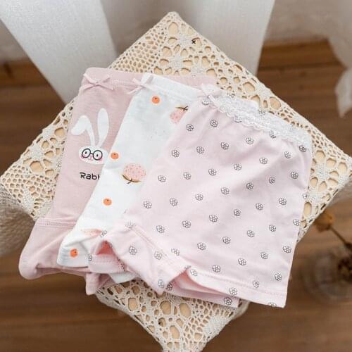 Dangdangshu Panties For Girls