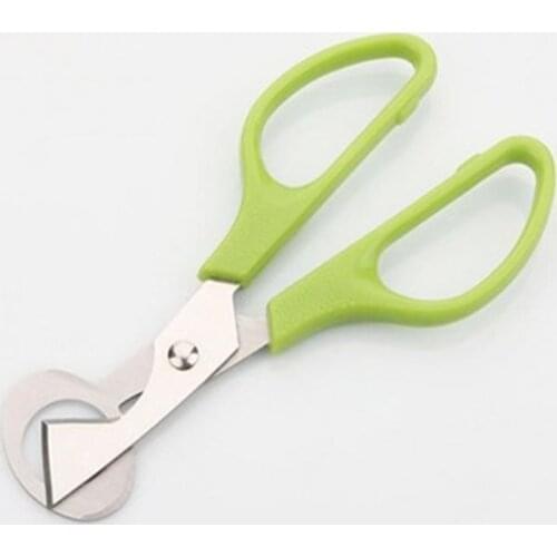 Quail Egg Scissors Bird Egg Scissors Stainless Steel Egg Cutters Egg Cutters Egg Shell Cutters Egg Opener