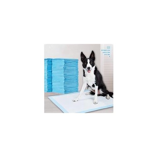 All Day Premium Dog Training Pee Pads 6-Layer Ultra Absorbent Diaper Cage Mat Unscented Disposable Underpads for Puppy Large Pet