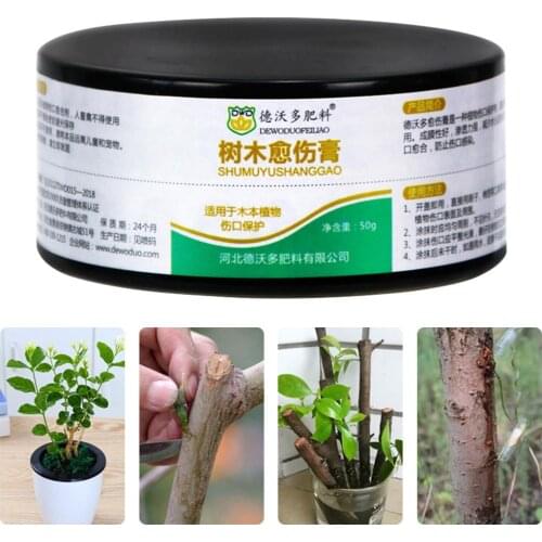 Tree Wound Bonsai Pruning Cutting Paste Tree Pruning Sealer Pruning Compound For Garden Plant Grafting Treatment
