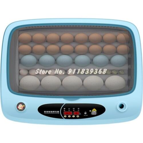 Incubator Incubator Chicken Incubator Small Household Mini Full Automatic Intelligent Chicken Duck Goose Pigeon Incubator
