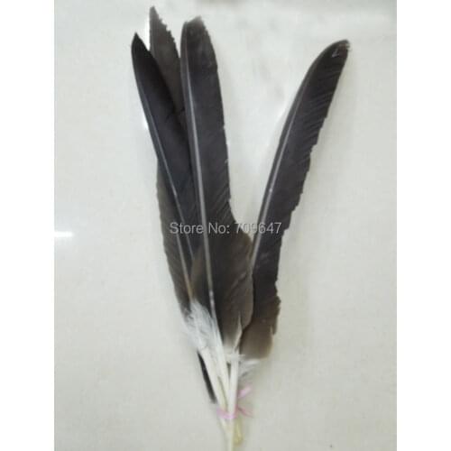 10Pcs/Lot!45-60cm Long Natural Pheasant Quill Feathers,Plume Wings for Diy Carnival Costume Mask Headdress,Plumas Decoration