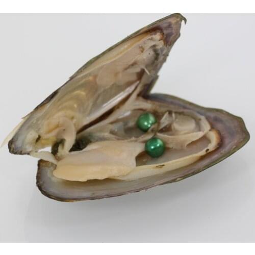Popular Dark Green Double Pearls in one Freshwater Oyster 6-7MM AAA Round Akoya Twin Pearls Oyster Wholesale 20pcs FP367