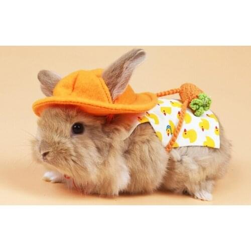 Bunny Harness and Leash with Hat Rabbit Dress for guinea pig Ferret Chinchilla Hamster Squirrel Lovely Costume 3 Sizes