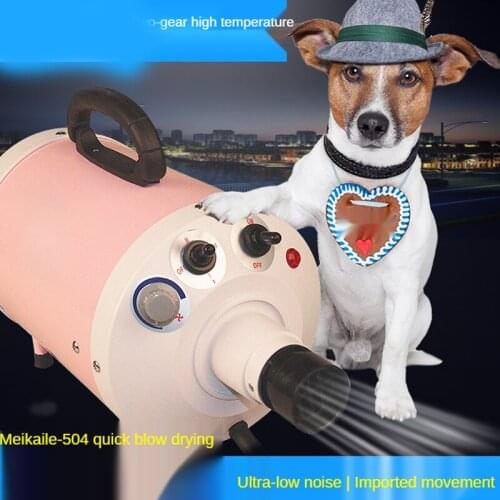 2400W Power Hair Dryer For Dogs Pet Cat Grooming Blower Warm Wind Secador Fast Blow Small Medium