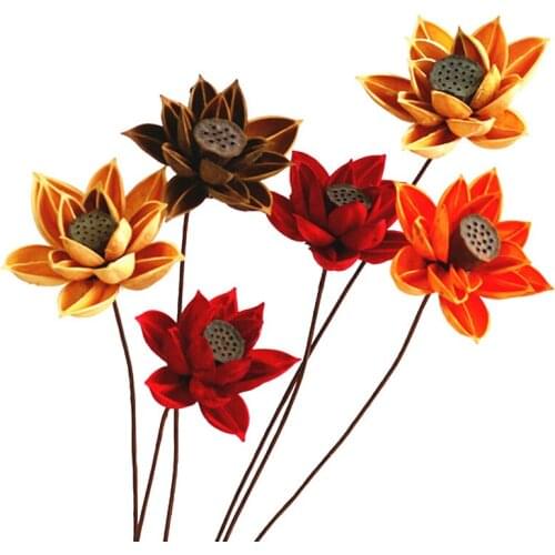 Natural dried fruit shells from the multi-channel plant material Manglietia (Lotus flower) dried flowers of the original flower