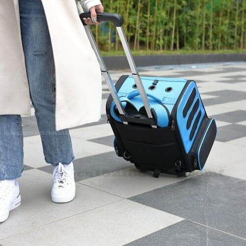 Cat Portable Carrying Bag Large Space Outdoor Small Dogs Travel Backpack Puppy Luxury Transit Bags Carrier Trolley Case for Cat