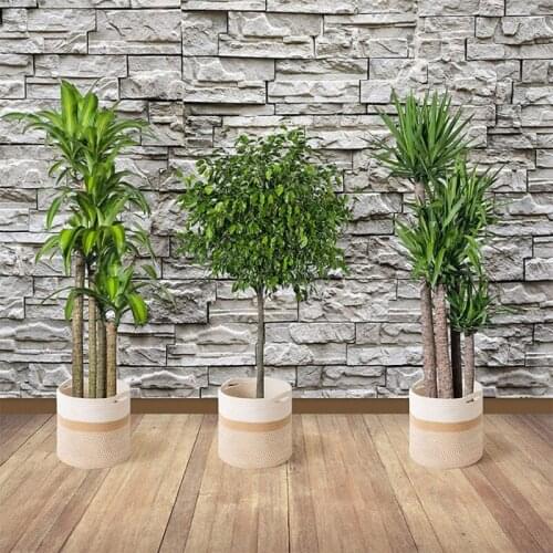 Hand Woven Flower Pot Basket Laundry Closet Storage Bins Picnic Toys Storage Container Planter Holder Baby Nursery Home W3JE