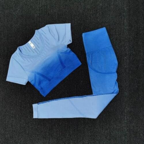 2 PCS Women Ombre Seamless yoga set Fitness Sports Suits with chest pad GYM Clothing T-Shirts+High Waist Leggings Workout set