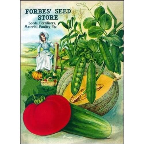 Vintage Farm Vegetables Seed Store Seed Fertilizers,material,poultry Metal Tin Sign 8x12 Inch Retro Farm Flower Market Garden
