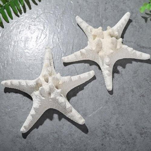 Natural Mediterranean White Starfish Shell Beach Craft Conch Shell DIY Handmade Home Decoration Living Room Decor Ornaments