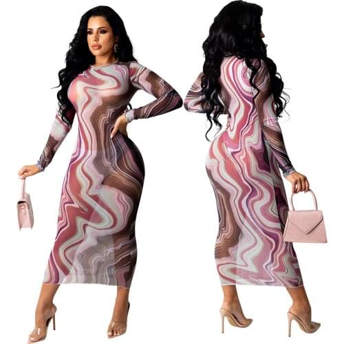 Chiclover Vintage Woman Dress Wholesale Items Fall Long Sleeve Transparent Mesh Bodycon Dress Paisley Print Crew Neck Dresses