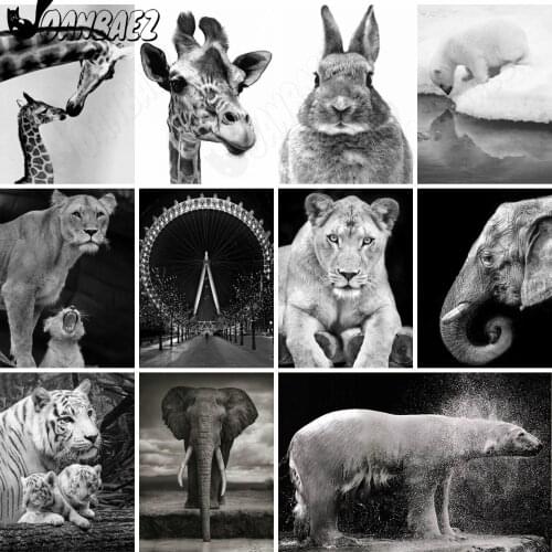 Black White Animal Diamond Painting 5D Diy Elephant Mosaic Embroidery Rabbit Cross Stitch Set Inlaid Crafts Home Decoration