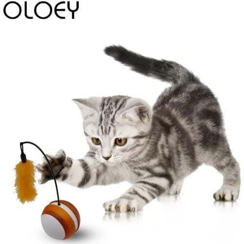 Pet Cat Electric Tumbler Ball Toy with LED Light Glow Vocal Rolling Feather Ball Automatic Rotating Interactive Toy for Dog Cat