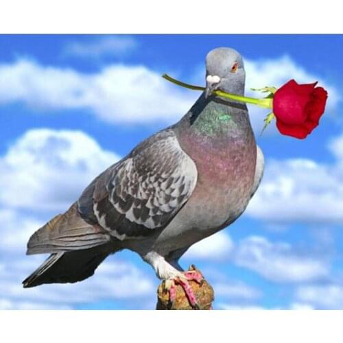 Full Square&round DIY Diamond painting Cross Stitch Pigeon With Rose Flower diamond Embroidery Mosaic Pattern Rhinestone