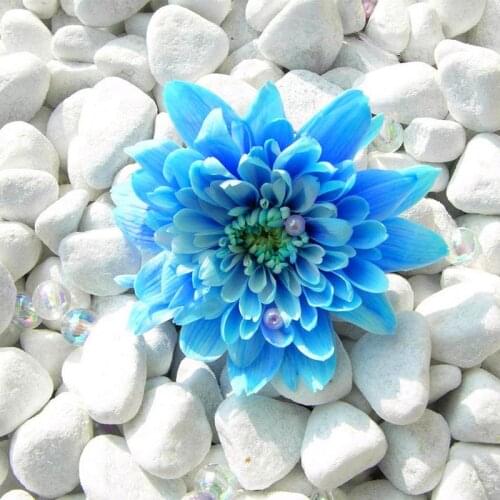 Diy full square Diamond Painting Cross Stitch Needlework 3d Diamond Embroidery Blue orchids A5774