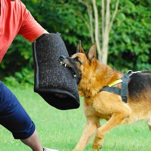 Dog Bite Arm Protection Sleeve Pet Training Biting Tool for Medium Large Police German Shepherd Pitbull Accessories Supplies