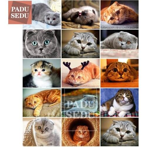 5d Diy Diamond Painting Cat Full Square Round Diamond Embroidery Cats Animals Cross Stitch Rhinestone Art Hobby Cute Room Decor