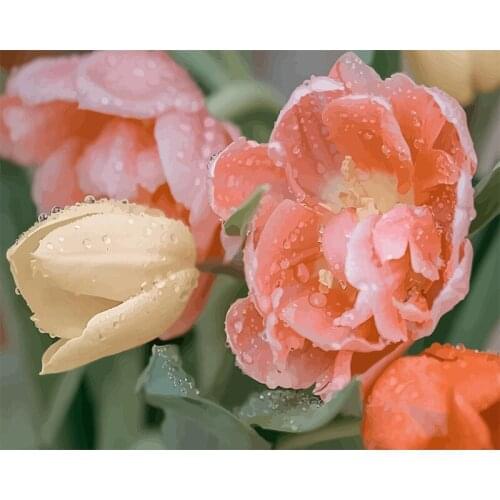 5D Diamond Embroidery Tulip Flowers full round/square DIY Diamond Painting Cross Stitch mosaic Rhinestones Home decoration BY142