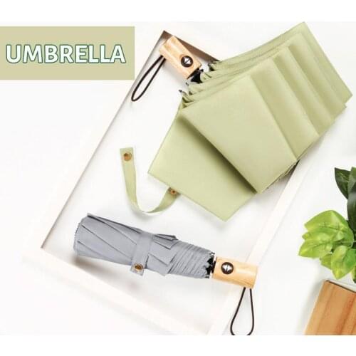 2021 New Solid Color Full Automatic Log Handle Small Sober And Simple Plain Japanese Windproof Sunshade Umbrella
