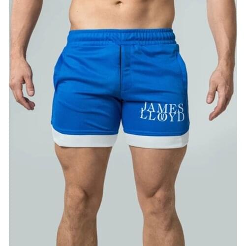 Mens Sports Casual Shorts, Mesh Running, Cycling, Five-Point Pants, Quick-Drying Seaside Surfing Beach Ants